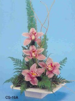  Nevehir kaliteli taze ve ucuz iekler  vazoda 4 adet orkide 