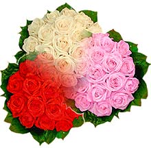 3 renkte gül seven sever   Nevşehir yurtiçi ve yurtdışı çiçek siparişi 
