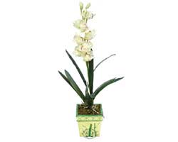 zel Yapay Orkide Beyaz   Nevehir 14 ubat sevgililer gn iek 