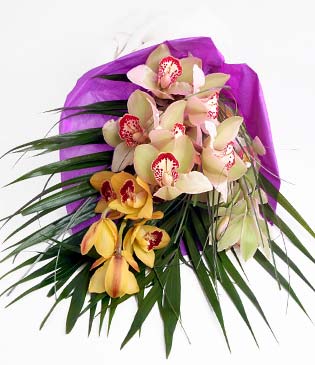  Nevehir hediye iek yolla  1 adet dal orkide buket halinde sunulmakta