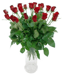  Nevşehir kaliteli taze ve ucuz çiçekler  11 adet kimizi gülün ihtisami cam yada mika vazo modeli