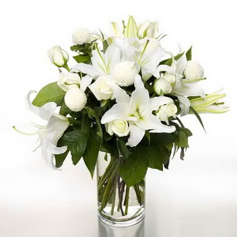  Nevşehir çiçek online çiçek siparişi  1 dal cazablanca 7 adet beyaz gül vazosu