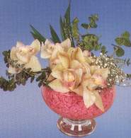  Nevehir online iek gnderme sipari  Dal orkide kalite bir hediye