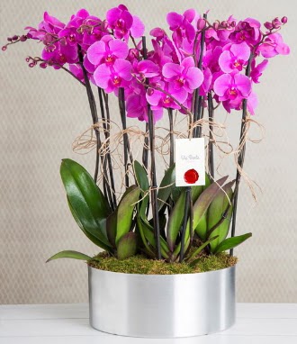 11 dall mor orkide metal vazoda  Nevehir iek online iek siparii 