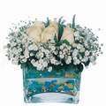 mika ve beyaz gül renkli taslar   Nevşehir güvenli kaliteli hızlı çiçek 