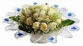 cam günes ve dolunay bembeyaz  Nevşehir yurtiçi ve yurtdışı çiçek siparişi 