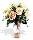  Nevşehir çiçek gönderme sitemiz güvenlidir  6 adet sari gül ve cam vazo