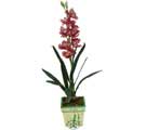 Özel Yapay Orkide Pembe   Nevşehir çiçek siparişi sitesi 