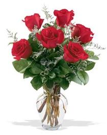  Nevşehir çiçek online çiçek siparişi  7 adet kirmizi gül cam yada mika vazoda sevenlere