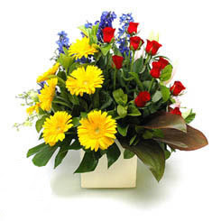  Nevşehir çiçek , çiçekçi , çiçekçilik  9 adet gül ve kir çiçekleri cam yada mika vazoda