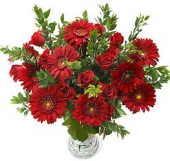 5 adet kirmizi gül 5 adet gerbera aranjmani  Nevşehir çiçek yolla , çiçek gönder , çiçekçi  