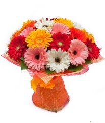 Renkli gerbera buketi  Nevşehir internetten çiçek satışı 