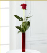 Vazo içerisinde 1 adet kırmızı gül  Nevşehir çiçekçi telefonları 