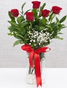 cam vazo içerisinde 5 adet kırmızı gül  Nevşehir hediye çiçek yolla 