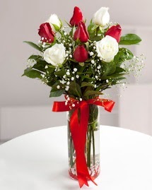 5 kırmızı 4 beyaz gül vazoda  Nevşehir hediye çiçek yolla 