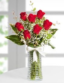 Cam vazoda 7 adet kırmızı gül  Nevşehir yurtiçi ve yurtdışı çiçek siparişi 