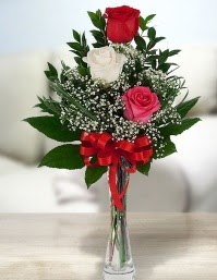 Camda 2 kırmızı 1 beyaz gül  Nevşehir online çiçekçi , çiçek siparişi 