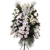  Nevşehir ucuz çiçek gönder  Ferforje beyaz renkli kazablanka