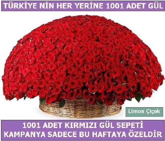 1001 Adet kırmızı gül Bu haftaya özel  Nevşehir hediye sevgilime hediye çiçek 