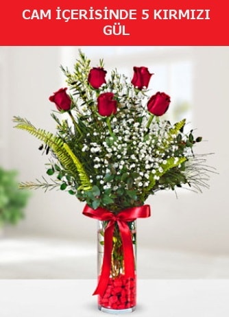 Cam içerisinde 5 adet kırmızı gül  Nevşehir çiçek gönderme sitemiz güvenlidir 