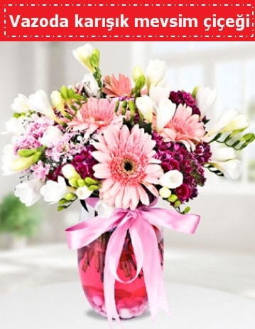Vazoda karışık mevsim çiçeği  Nevşehir yurtiçi ve yurtdışı çiçek siparişi 