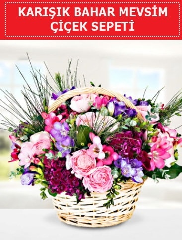 Karışık mevsim bahar çiçekleri  Nevşehir online çiçekçi , çiçek siparişi 